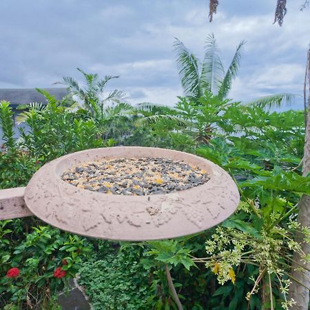 Simple Kona Guest House Keauhou Exterior foto