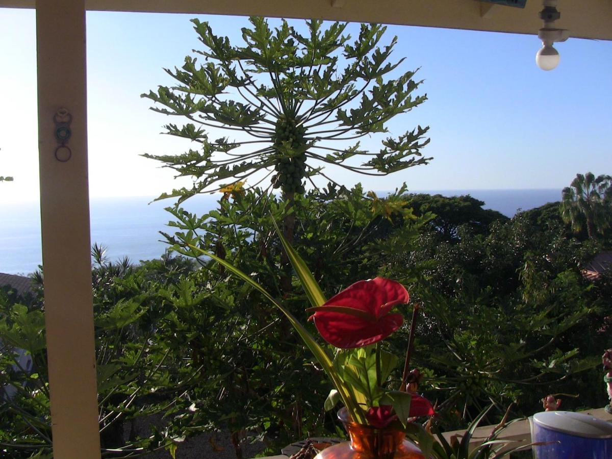 Simple Kona Guest House Keauhou Exterior foto