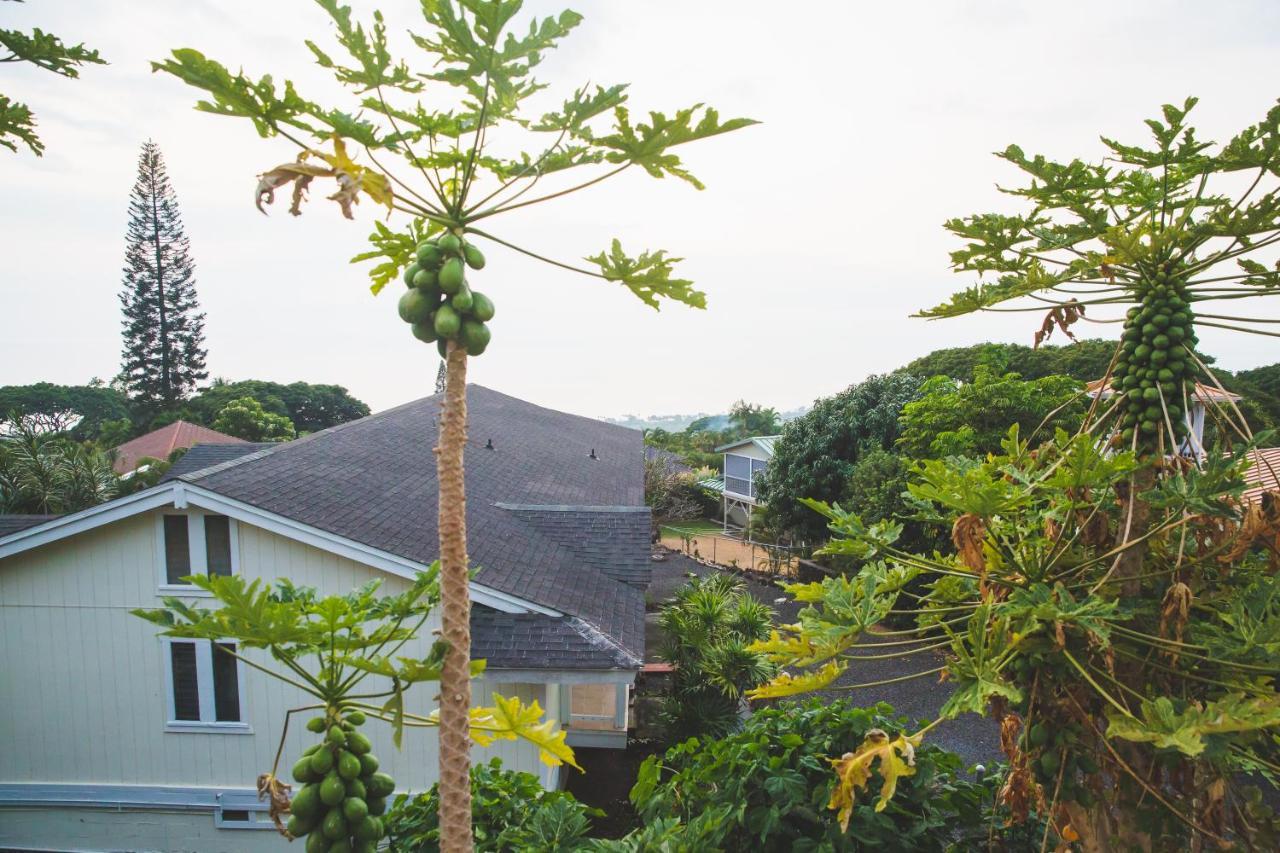 Simple Kona Guest House Keauhou Exterior foto