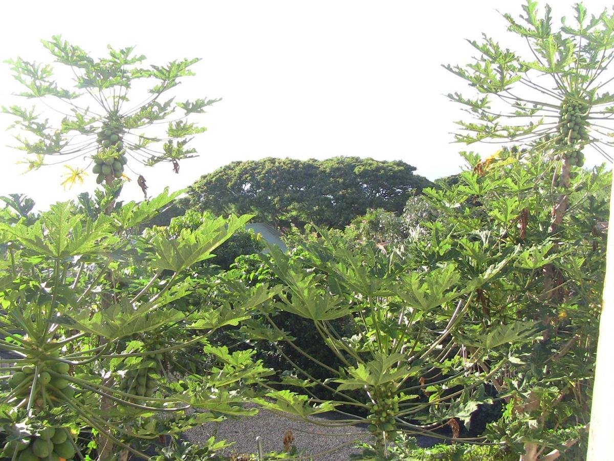 Simple Kona Guest House Keauhou Exterior foto